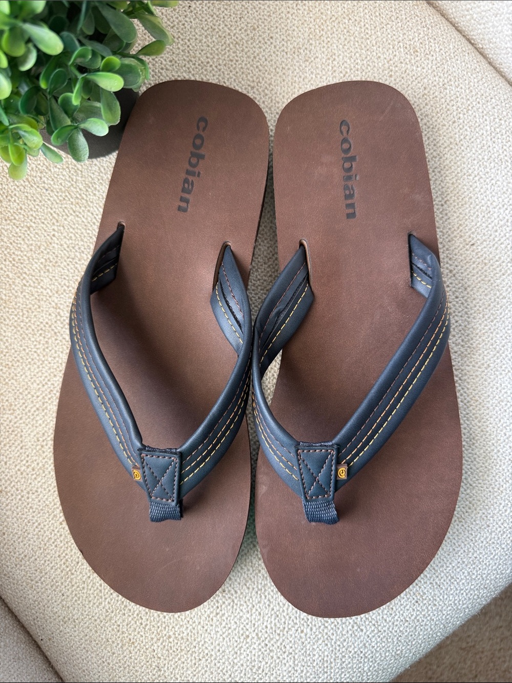 Cobian Men's Brown Footbed Flip-Flops with Black Straps